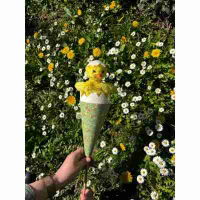 Détail du visage de la marotte poussin Bass & Bass