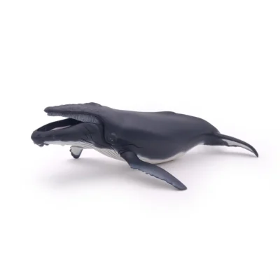 Baleine à bosse Papo vue de profil avec ventre clair et longues nageoires pectorales