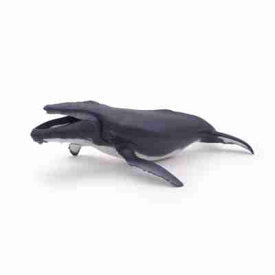 Baleine à bosse Papo vue de profil avec ventre clair et longues nageoires pectorales