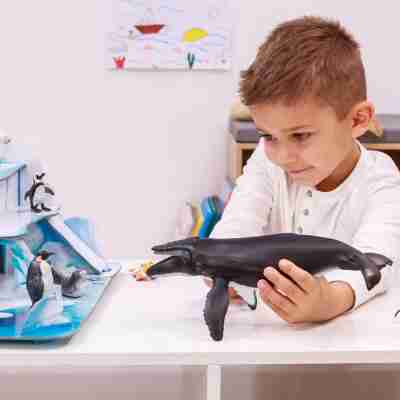 Enfant jouant avec la figurine Baleine à bosse Papo dans un univers marin