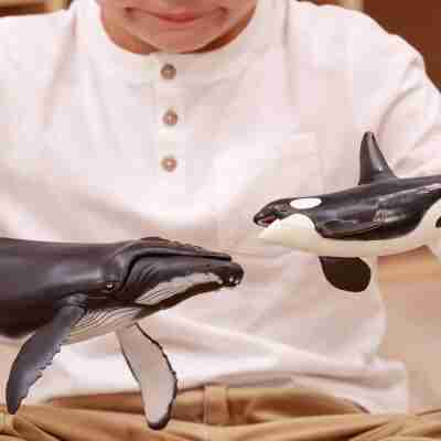 Enfant jouant avec une Baleine à bosse Papo et une figurine d’orque
