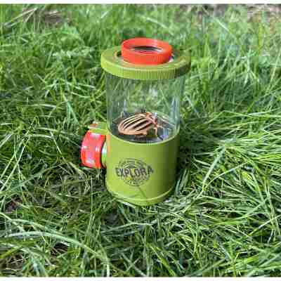 Boîte loupe Triple Vue utilisée pour observer un insecte dans l’herbe