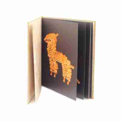 Livre d’art Kapla Animaux ouvert avec modèle de lama en planchettes