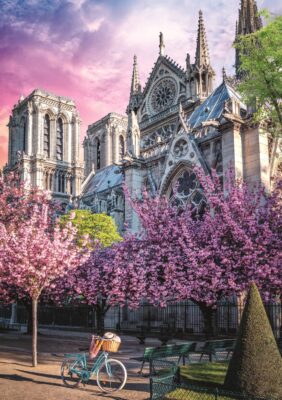 odyssee photo cathedrale notre dame de paris puzzle 1000 pieces.102834 1.fs