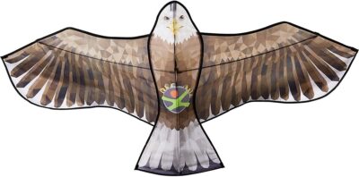 Terra Kids – Cerf-Volant Aigle