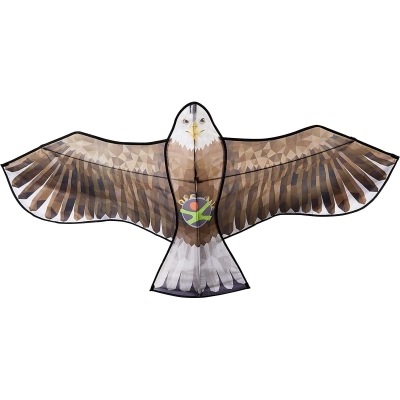 Terra Kids – Cerf-Volant Aigle
