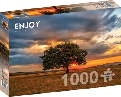 Puzzle Enjoy – Leaves Eclipse – 1000 pièces