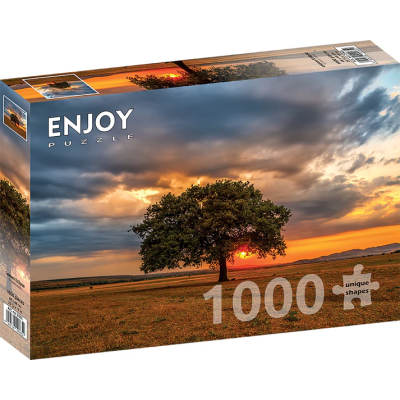 Puzzle Enjoy – Leaves Eclipse – 1000 pièces