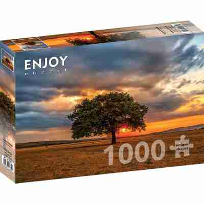 Ptit Loustic – Magasin de jeux et jouets à Saint-Étienne 144 Boîte du puzzle Enjoy Leaves Eclipse 1000 pièces référence 2065