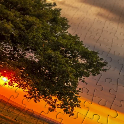 Détail des pièces du puzzle Leaves Eclipse avec arbre et coucher de soleil