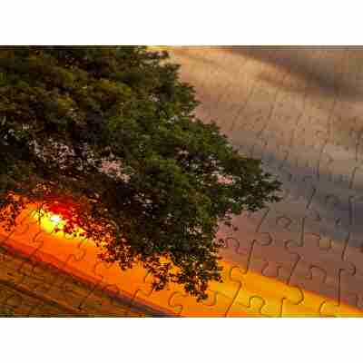 Détail des pièces du puzzle Leaves Eclipse avec arbre et coucher de soleil