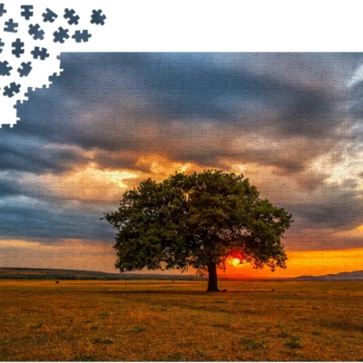 Puzzle Enjoy Leaves Eclipse de 1000 pièces en cours d’assemblage