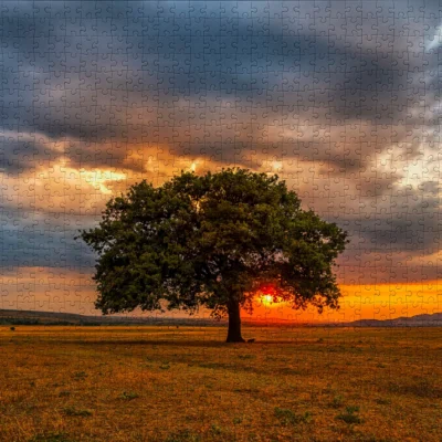 Puzzle Leaves Eclipse Enjoy de 1000 pièces avec arbre au coucher du soleil