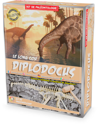 Kit de paléontologie – Diplodocus