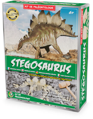 Kit de paléontologie – Stégosaure