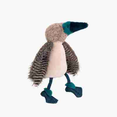 Oiseau fou à pieds bleus – Tout autour du monde
