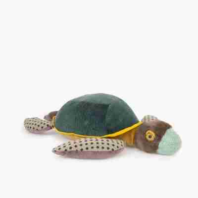 Grande tortue – Tout autour du monde