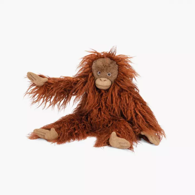 Petit orang-outan – Tout autour du monde