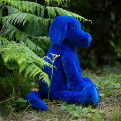 Chien bleu en peluche photographié en extérieur