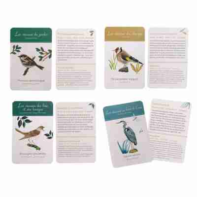 Cartes d’identification des oiseaux du jardin