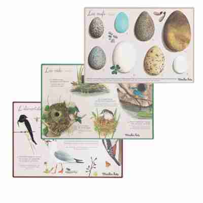 Fiche pédagogique oiseaux Le Jardin du Moulin