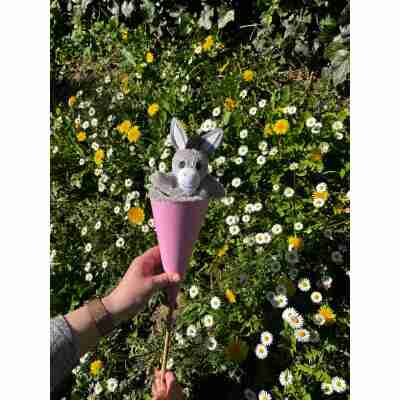 Détail du visage de la marotte âne Bass & Bass