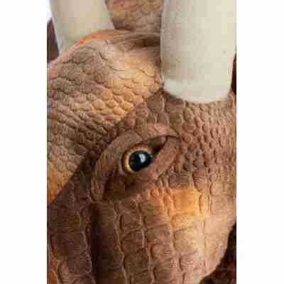 Détail œil et texture écaille tricératops