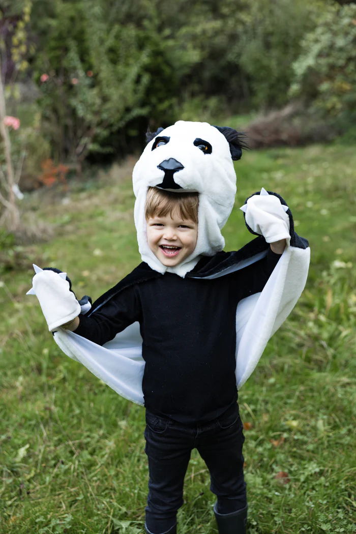 Cape panda 3 Enfant déguisé en panda Great Pretenders en extérieur