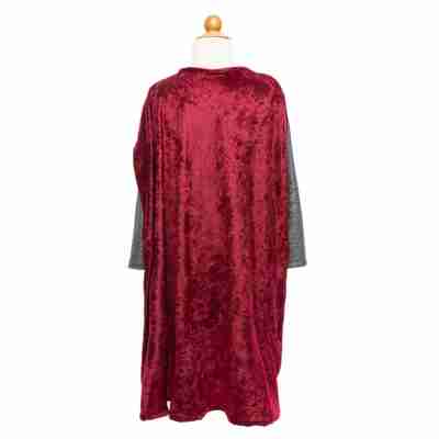 Dos du costume Chevalier d’argent avec grande cape rouge