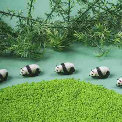Mise en scène de la bouteille sonore Panda Petit Boum avec bambous et figurines