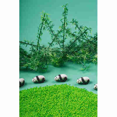 Mise en scène de la bouteille sonore Panda Petit Boum avec bambous et figurines