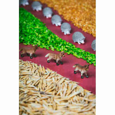 Bouteille sensorielle Forêt Petit Boum mise en scène avec animaux miniatures
