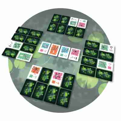 Disposition des cartes du jeu Symbiose sur une table