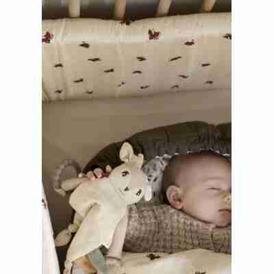 Ptit Loustic – Magasin de jeux et jouets à Saint-Étienne 28 Bébé avec doudou faon Filibabba en mousseline biologique