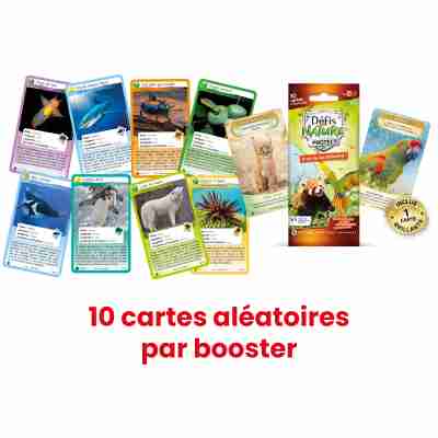 Ptit Loustic – Magasin de jeux et jouets à Saint-Étienne 2 Cartes à collectionner du Booster Défis Nature Protect