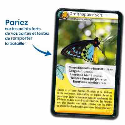 Ptit Loustic – Magasin de jeux et jouets à Saint-Étienne 10 Jeu éducatif Défis Nature Insectes Bioviva