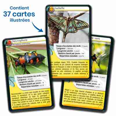 Cartes illustrées du jeu Défis Nature Insectes