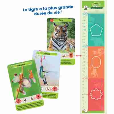 Ptit Loustic – Magasin de jeux et jouets à Saint-Étienne 4 Cartes illustrées du jeu Défis Nature Junior Mystères de la jungle