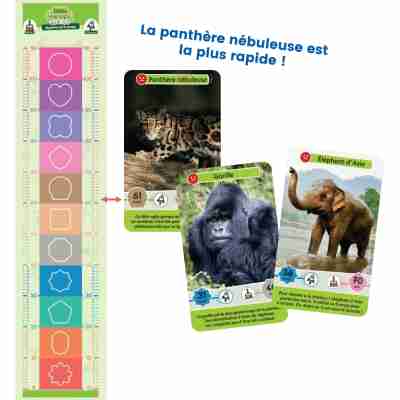 Toise graduée du jeu Défis Nature Junior Mystères de la jungle
