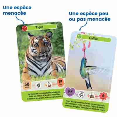 Jeu éducatif Défis Nature Junior Mystères de la jungle Bioviva