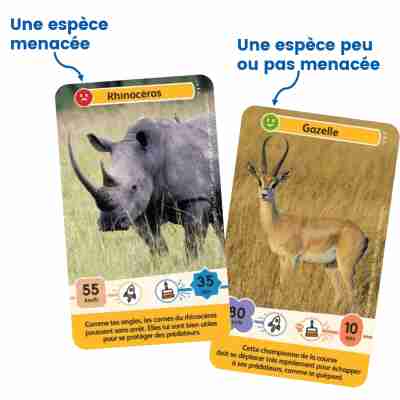Cartes illustrées du jeu Défis Nature Junior Rois de la savane