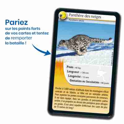Ptit Loustic – Magasin de jeux et jouets à Saint-Étienne 6 Jeu éducatif Défis Nature Records des animaux Bioviva