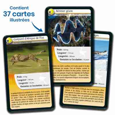 Cartes illustrées du jeu Défis Nature Records des animaux