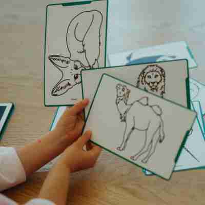 Enfant découvrant les cartes Animaux du monde Kidydraw-mini
