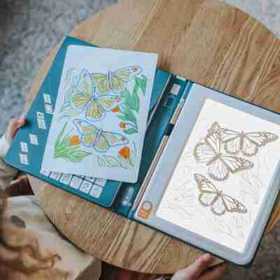Ptit Loustic – Magasin de jeux et jouets à Saint-Étienne 6 Tablette lumineuse Kidydraw Pad Animals avec dessin de papillons