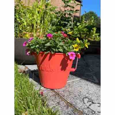 Seau pliable corail Scrunch utilisé comme pot de fleurs dans un jardin