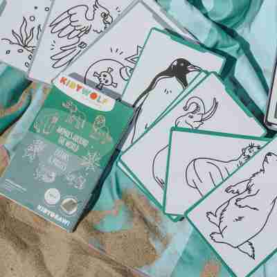 Cartes à décalquer Animaux du monde pour Kidydraw-mini