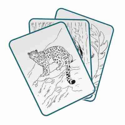Sélection des cartes modèles animaux du Kidydraw Pad Animals