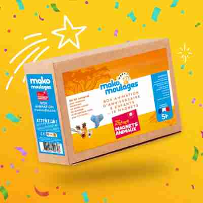Coffret box animation anniversaire Magnets animaux Mako moulages pour 6 enfants