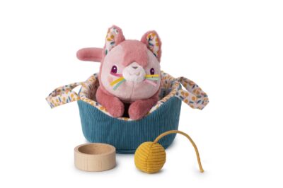 Jeanne le chat Lilliputiens dans son panier avec pelote et gamelle